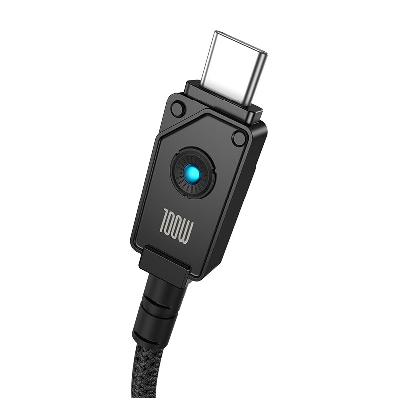 Baseus Unbreakable Series 2m 100W Type-C to Type-C Fast Charging Cable - Image 2
