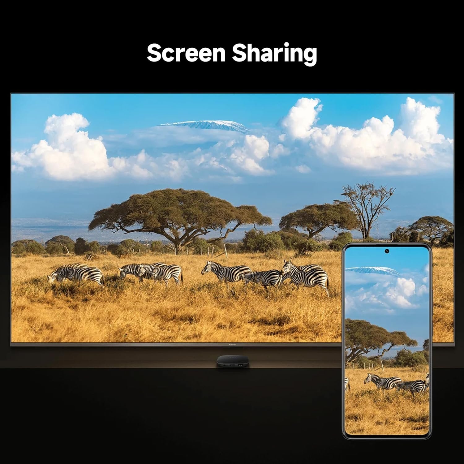 Xiaomi TV Box S (3rd Gen) 4K Ultra HD - Global Version - Image 11
